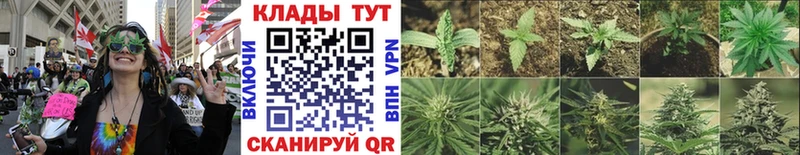Где продают наркотики Великие Луки Метамфетамин  А ПВП  Амфетамин  Марихуана  Кокаин  Галлюциногенные грибы 